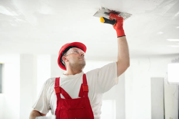 Mold Remediation for Rental Properties in Glen Head, NY