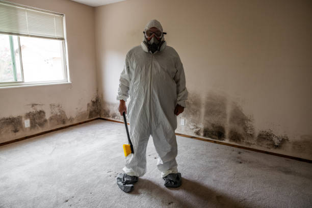 Best Mold Damage Restoration  in Glen Head, NY