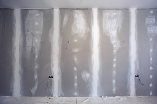 Best Comprehensive Air Testing for Mold Contaminants  in Glen Head, NY